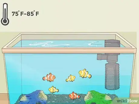 Imagen titulada Care for a Clown Fish Step 10