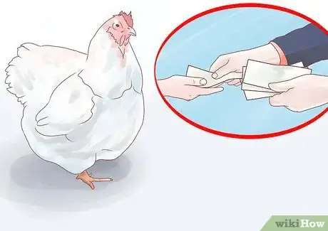 Imagen titulada Feed Chickens Step 17