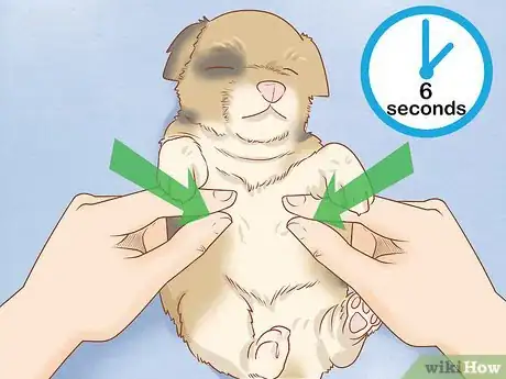 Imagen titulada Revive a Puppy Step 17