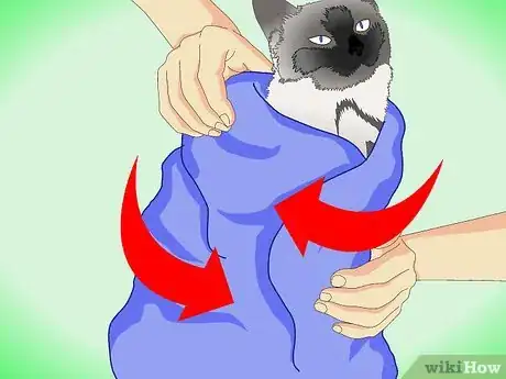 Imagen titulada Get Rid of Dry Skin on Cats Step 6