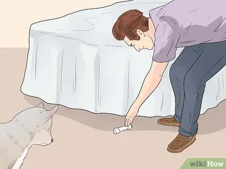 Imagen titulada Encourage Your Dog to Sleep in Your Bed Step 7