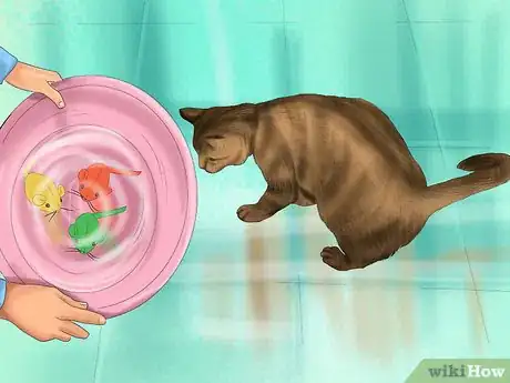Imagen titulada Bathe a Cat Step 4