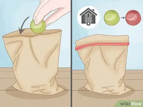 Imagen titulada Harvest Plums Step 7
