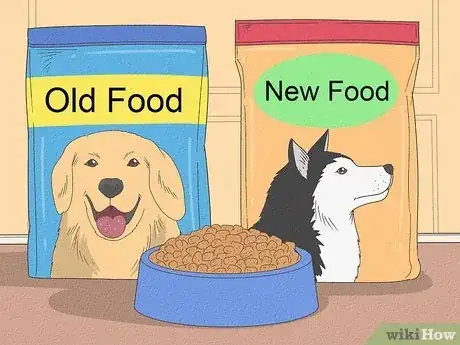 Imagen titulada Feed a Yorkie Puppy Step 2