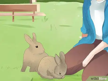 Imagen titulada Understand Your Rabbit Step 18