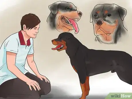 Imagen titulada Check if Your Dog Is Healthy and Happy Step 1