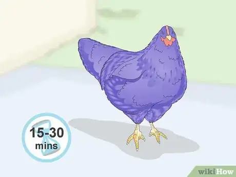 Imagen titulada Color Chickens Step 12