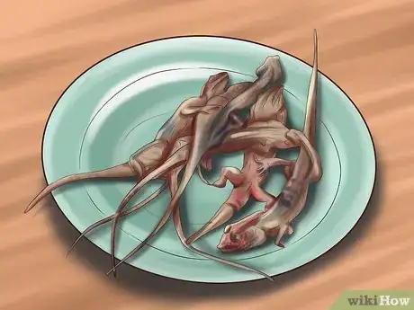 Imagen titulada Care for Your Ball Python Step 17