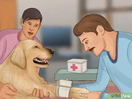 Imagen titulada Stop a Dog from Bleeding Step 5