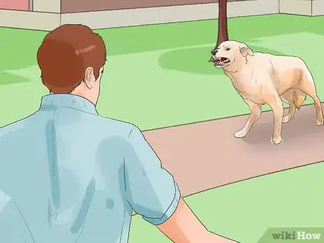 Imagen titulada Catch a Dog Step 1
