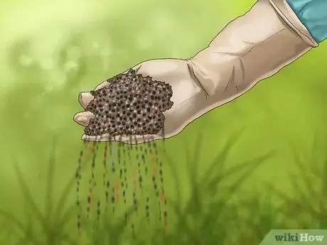 Imagen titulada Get and Maintain a Healthy Lawn Step 10