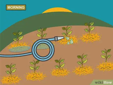 Imagen titulada Grow Hot Peppers Step 16
