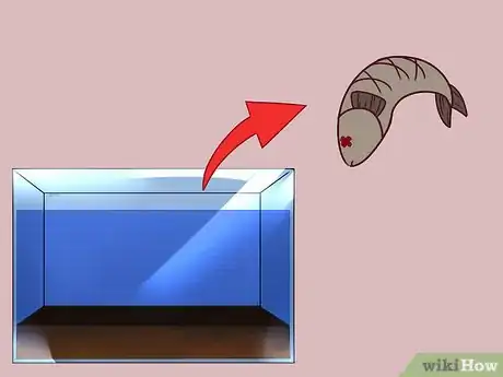 Imagen titulada Build a Self Sustaining Ecosystem Step 10