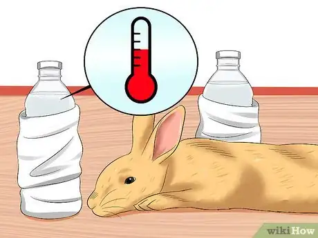 Imagen titulada Treat Digestive Problems in Rabbits Step 12