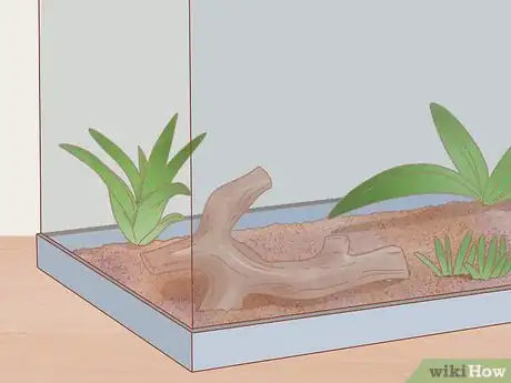 Imagen titulada Care for a House Gecko Step 4