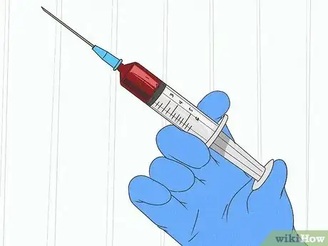 Imagen titulada Treat Aural Hematomas in Dogs Step 4