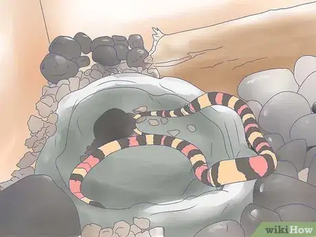 Imagen titulada Care for a Milk Snake Step 4