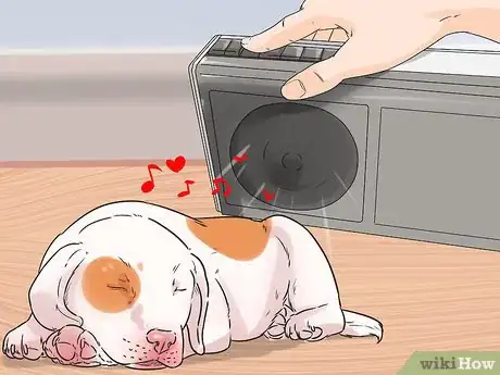 Imagen titulada Handle a Dog's Nightmares Step 7