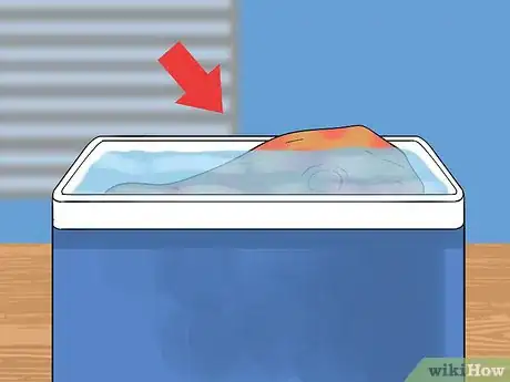 Imagen titulada Preserve a Skull Step 3