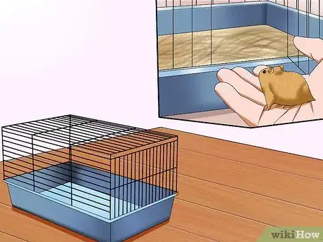 Imagen titulada Care for Your Shocked Hamster Step 3