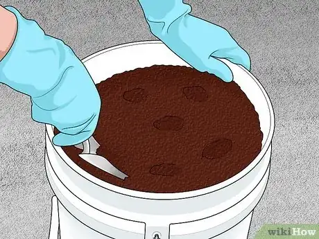 Imagen titulada Grow Sweet Potatoes in Containers Step 8