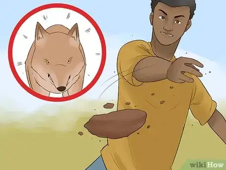 Imagen titulada Survive a Coyote Attack Step 10