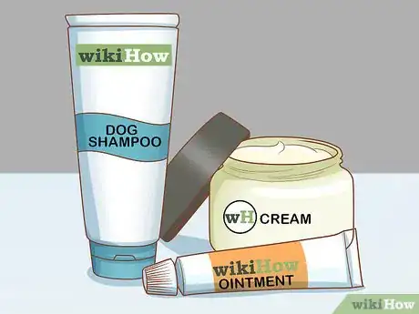 Imagen titulada Get Rid of Ringworm in Dogs Step 2