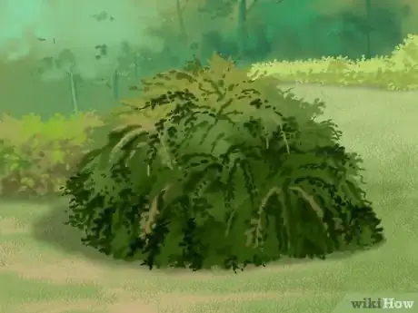 Imagen titulada Get and Maintain a Healthy Lawn Step 13