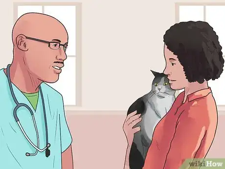 Imagen titulada Get Your Cat to Stop Hissing Step 17