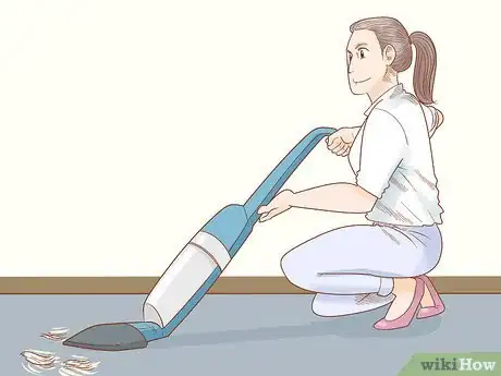 Imagen titulada Get Rid of Ringworm in Dogs Step 5