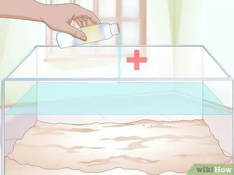 Imagen titulada Clean a Turtle Tank Step 12