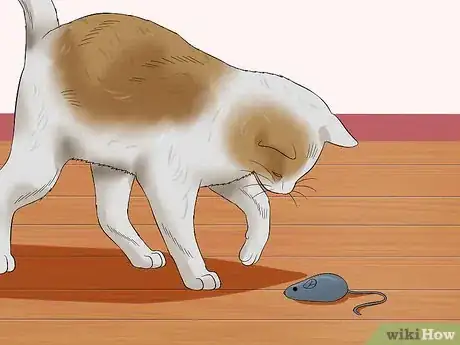 Imagen titulada Help Cats to Sleep at Bedtime Step 5