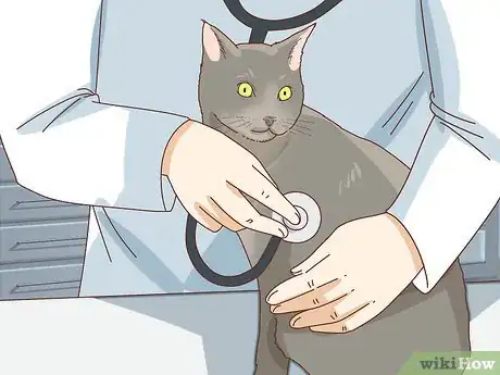Imagen titulada Tell if Your Cat Is Depressed Step 1