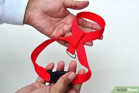 Imagen titulada Put on a Cat Harness Step 4