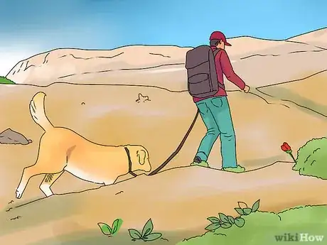 Imagen titulada Build a Dog's Muscles Step 13