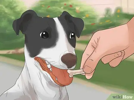 Imagen titulada Train Your Dog to Use a Dog Door Step 7