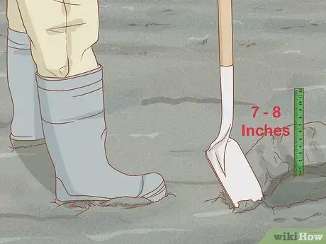 Imagen titulada Dig for Clams Step 10