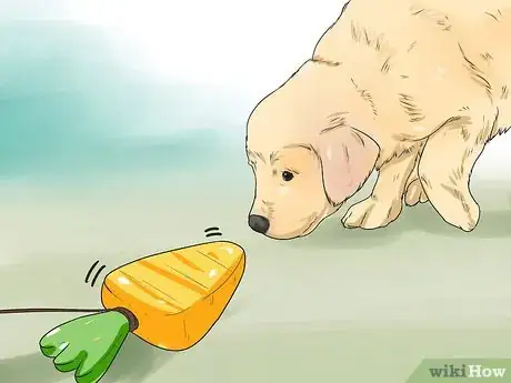 Imagen titulada Train a Golden Retriever Puppy Step 39