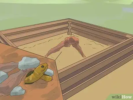 Imagen titulada Take Care of a Land Turtle Step 19
