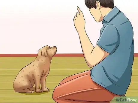 Imagen titulada Get Your Puppy to Stop Biting Step 3