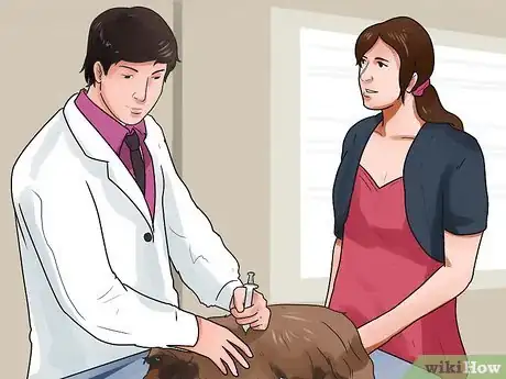 Imagen titulada Get Dogs to Mate Step 14