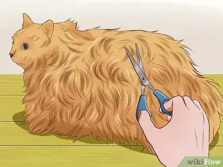 Imagen titulada Cure a Cat of Constipation Step 18