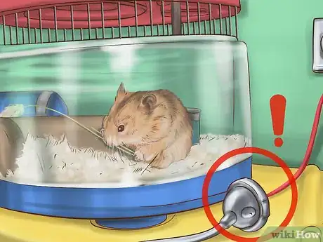 Imagen titulada Create a Bond With Your Hamster Step 11