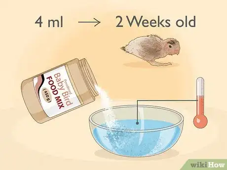 Imagen titulada Feed a Baby Budgie Step 2
