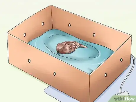 Imagen titulada Care for an Injured Wild Bird That Cannot Fly Step 11