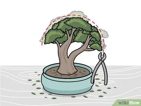 Imagen titulada Prune a Bonsai Tree Step 7