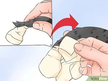 Imagen titulada Wrap a Dog's Tail Step 10