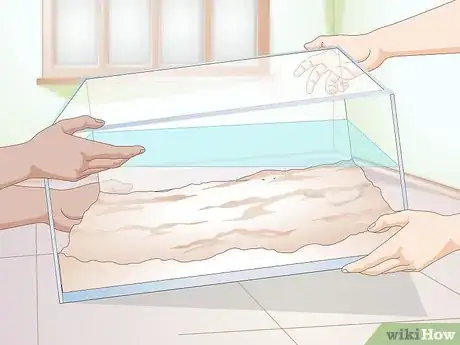 Imagen titulada Clean a Turtle Tank Step 11