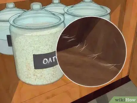 Imagen titulada Get Rid of Moths Step 13