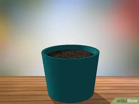 Imagen titulada Grow Jasmine from Cuttings Step 5